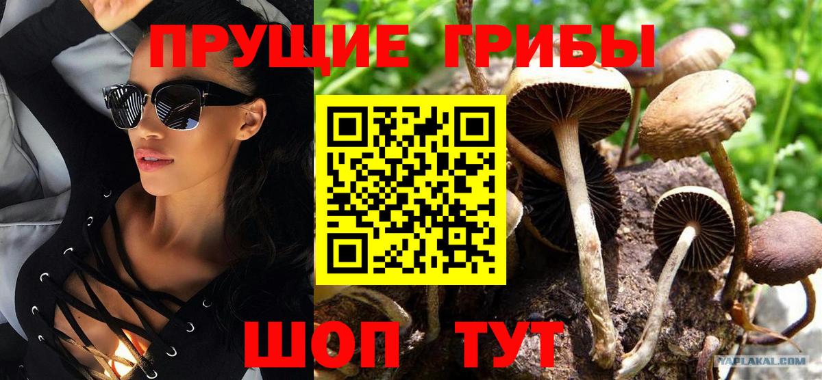 Галлюциногенные грибы мицелий Ишимбай