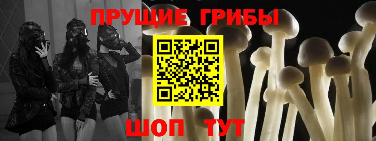 купить закладку  Вход с VPN  Ишимбай  Псилоцибиновые грибы мицелий 