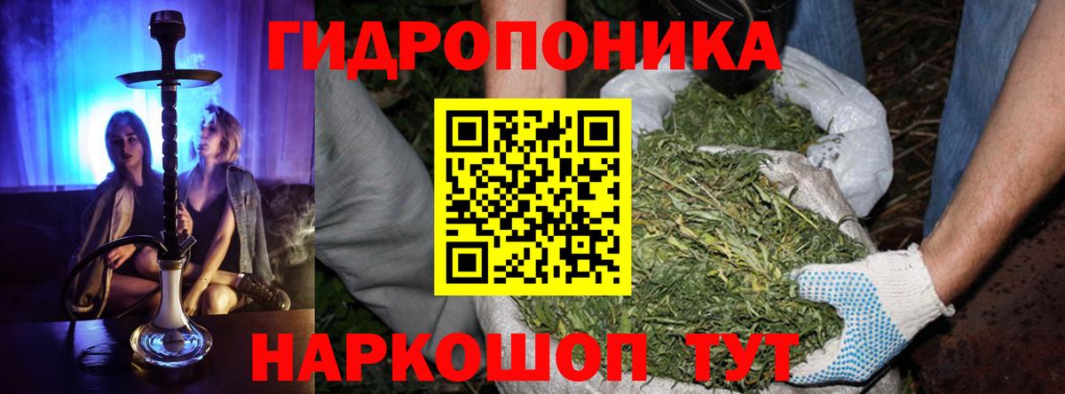 Бошки марихуана конопля  Вход с VPN  Ишимбай  Бошки Шишки ГИДРОПОН 